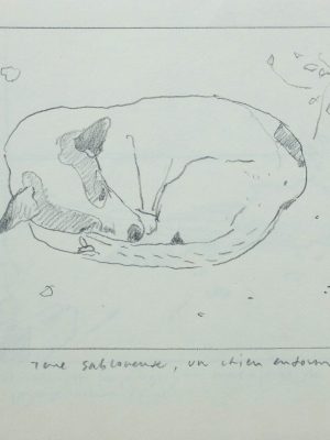 20 C 140 Terre sabloneuse, un chien endormi. Projet pour une huile sur toile 21,5X28